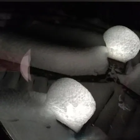 아파트 Familie Fritzenwallner 알텐막팀퐁와