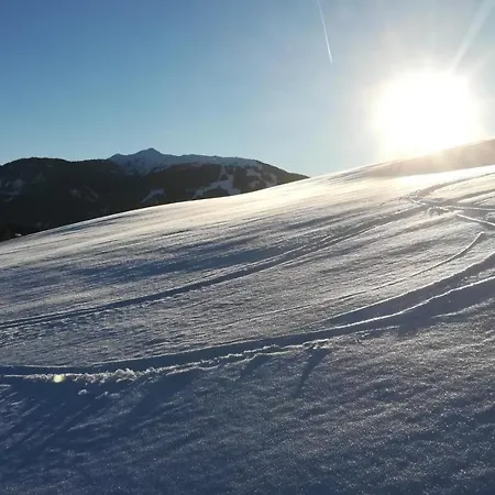 Familie Fritzenwallner 아파트 알텐막팀퐁와